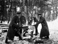 Солдаты и офицеры Русской армии пилят в лесу дрова. Российская империя. 1914 – 1918 гг. РГАКФД. Арх. № П-231-ч/б