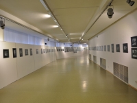 В Доме Искусств г. Братиславы (Словакия) состоялось открытие фотографической выставки «Идет война народная. Партизанское движение на территории России, Украины и Белоруссии в годы Великой Отечественной войны»