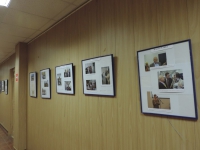 День рождения РГАКФД