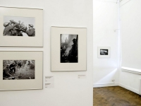 В Санкт-Петербурге открылась выставка фотографий «Всеволод Тарасевич. Ленинградская блокада. Город и фронт»