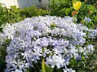 В архиве – май!