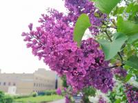 В архиве – май!