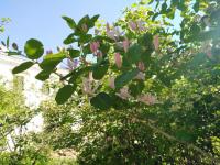 В архиве – май!