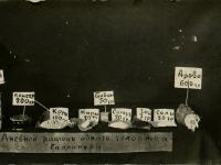 Паек в марте 1921. Галлиполи. Османская империя. РГАКФД