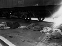 Умершие от голода. Поволжье. 1921. РГАКФД