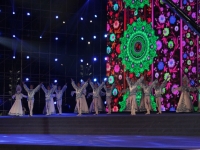 Выступление Красноярского государственного академического ансамбля танца Сибири им. М. С. Годенко