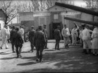 Место проведения выставки художников 4-го Украинского фронта. Мелитополь. 6 мая 1944 г. Съёмка В. А. Сущинского. РГАКФД. 1-8865. Место проведения выставки художников 4-го Украинского фронта. Мелитополь. 6 мая 1944 г. Съёмка В. А. Сущинского. РГАКФД. 1-8865.