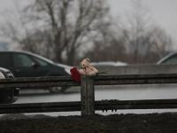 8-3621-цв. Плюшевый медвежонок и цветы на ограждении Московской кольцевой дороги в память о жертвах теракта 22 марта 2024 года в концертном зале "Крокус Сити Холл". Российская Федерация, Московская обл., г.Красногорск. 24.03.2024г. Автор съемки Федоренко Н.Г.