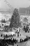 Елка, установленная в дни новогоднего праздника на площади имени Сталина в Новосибирске. Новосибирск, 1951 г. Автор В. Лещинский. РГАКФД.