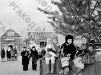 Дети на новогоднем базаре, устроенном на Приморском бульваре Севастополя. Севастополь, 1950 г. Автор Шепнин. РГАКФД.